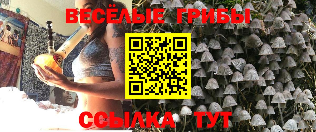Псилоцибиновые грибы Psilocybine cubensis  Вход с VPN  наркота  Полысаево  Псилоцибиновые грибы MAGIC MUSHROOMS 